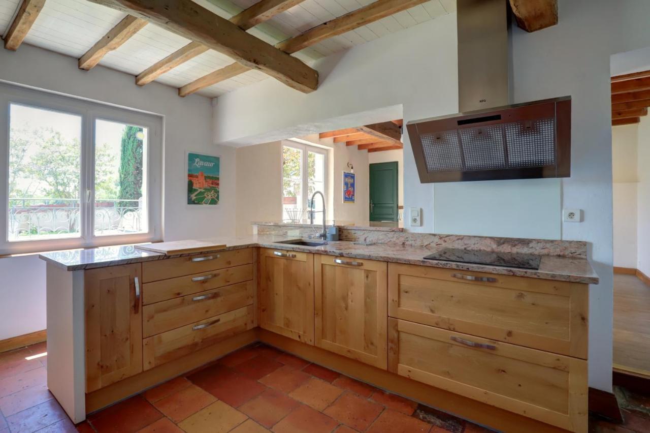 Gîte la grappe Occitane - 14 personnes - piscine privée Ambres Esterno foto