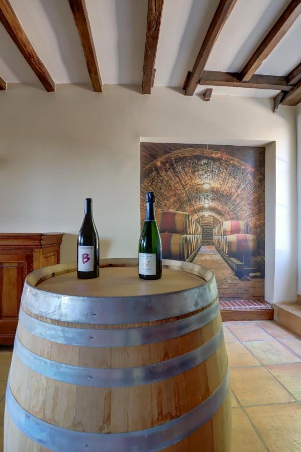 Gîte la grappe Occitane - 14 personnes - piscine privée Ambres Esterno foto